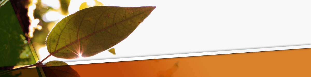 Institut Technique et Commercial de Boussu