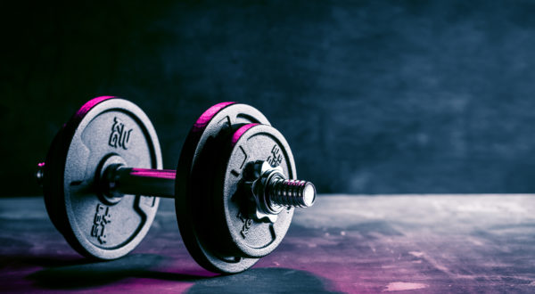 Sport étude Fitness